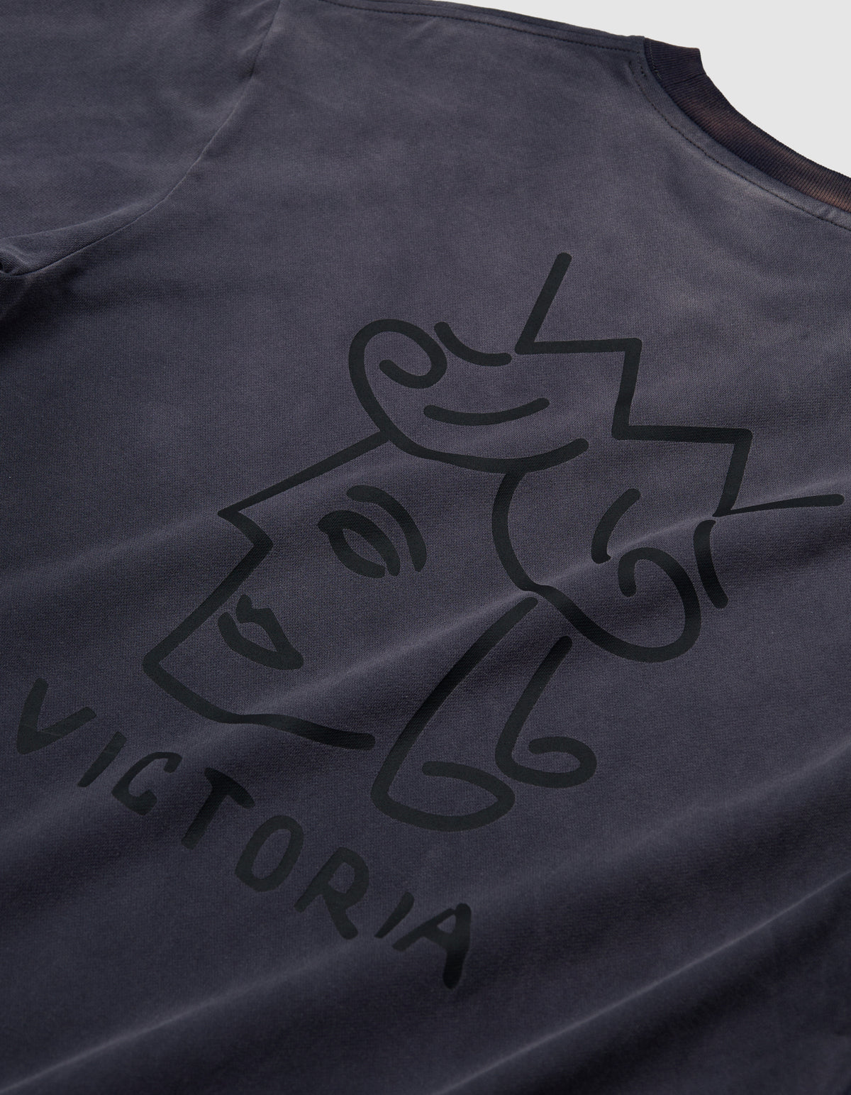 SUNFADED QH L/S TEE